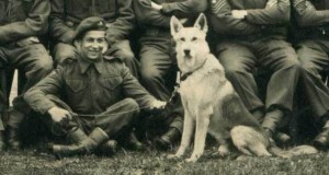 parachuting dogs Emile Corteil and Glenn