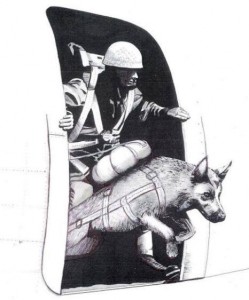 Parachuting dogs D Day