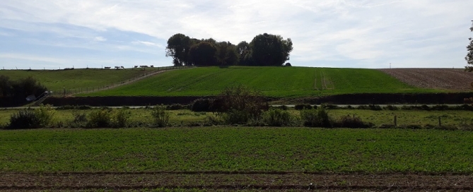 Hawthorn Ridge Battle of the Somme