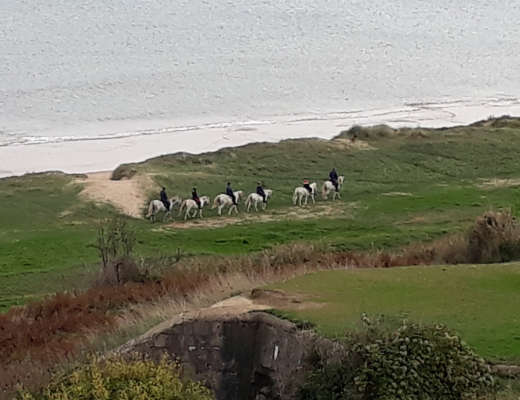 Pony trekking in freedom on Omaha Beach