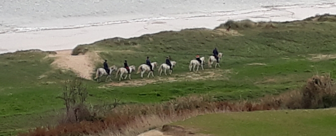 Pony trekking in freedom on Omaha Beach